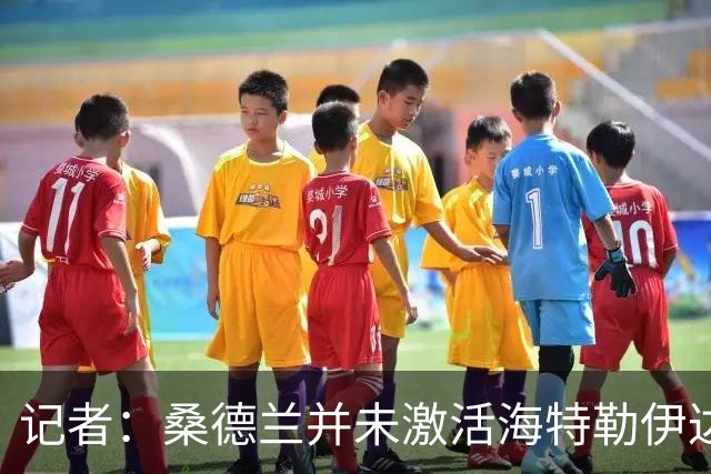 记者：桑德兰并未激活海特勒伊达的2300万欧买断条款，打算压价